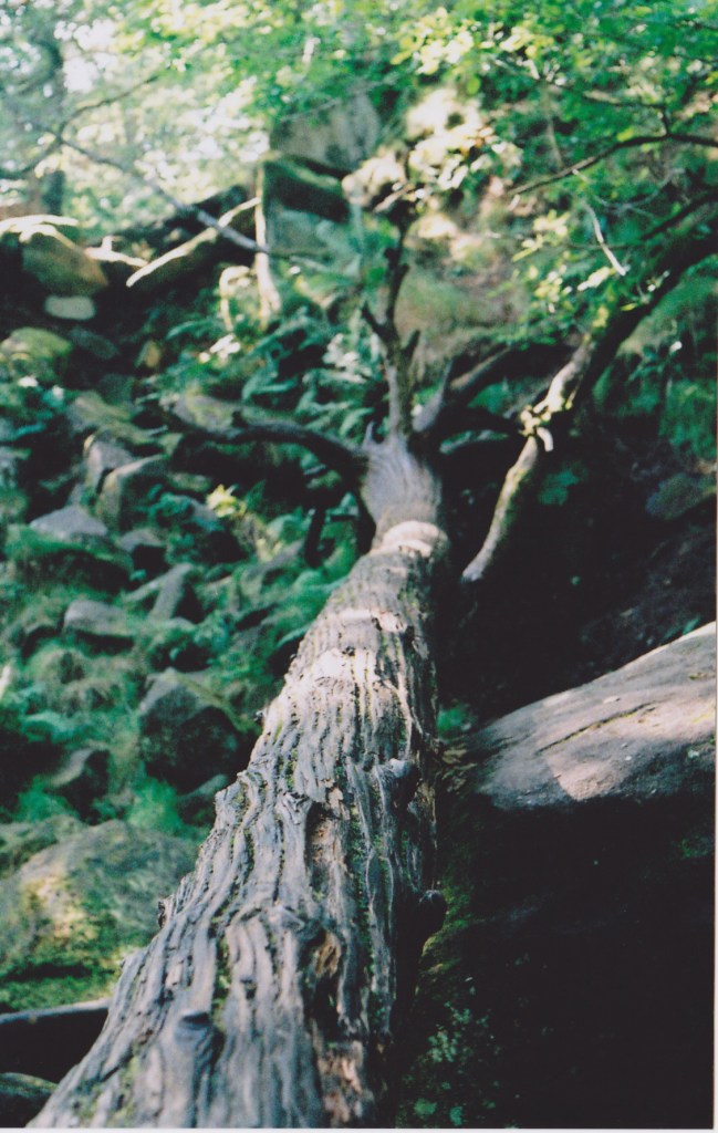Padley Gorge Sheffield